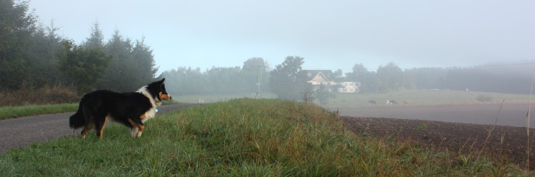 Hof in der Landschaft mit Ronja (Foto: HJ Stoffels, 09)