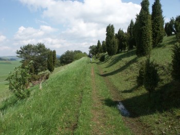  Hans-J. Stoffels (Wacholdergebiet)