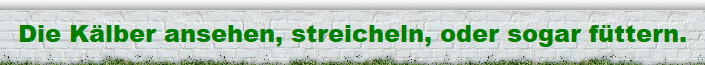 Die Klber ansehen, streicheln, oder sogar fttern.