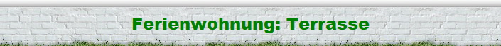 Ferienwohnung: Terrasse